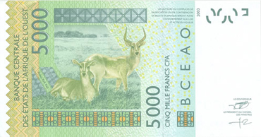 5000
